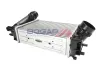 Ladeluftkühler BOGAP R4220101 Bild Ladeluftkühler BOGAP R4220101