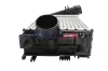 Ladeluftkühler BOGAP R4220101 Bild Ladeluftkühler BOGAP R4220101