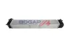 Ladeluftkühler BOGAP R4220115 Bild Ladeluftkühler BOGAP R4220115