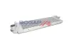Ladeluftkühler BOGAP R4220125 Bild Ladeluftkühler BOGAP R4220125