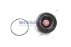 Wasserpumpe, Motorkühlung BOGAP R4234107 Bild Wasserpumpe, Motorkühlung BOGAP R4234107