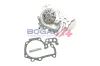Wasserpumpe, Motorkühlung BOGAP R4234124 Bild Wasserpumpe, Motorkühlung BOGAP R4234124