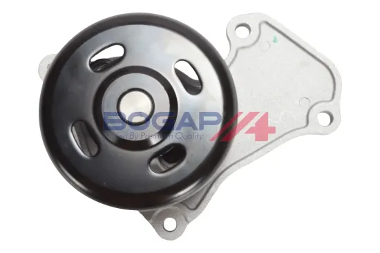 Wasserpumpe, Motorkühlung BOGAP R4234125 Bild Wasserpumpe, Motorkühlung BOGAP R4234125
