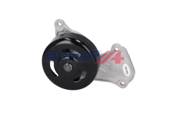 Wasserpumpe, Motorkühlung BOGAP R4234125 Bild Wasserpumpe, Motorkühlung BOGAP R4234125