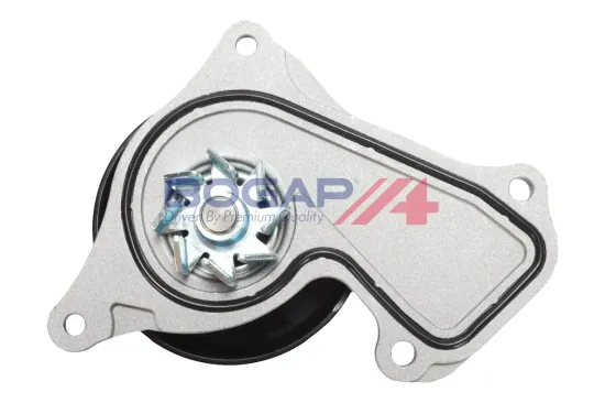 Wasserpumpe, Motorkühlung BOGAP R4234125 Bild Wasserpumpe, Motorkühlung BOGAP R4234125