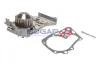Wasserpumpe, Motorkühlung BOGAP R4234126 Bild Wasserpumpe, Motorkühlung BOGAP R4234126