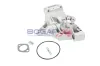 Wasserpumpe, Motorkühlung BOGAP R4234127 Bild Wasserpumpe, Motorkühlung BOGAP R4234127