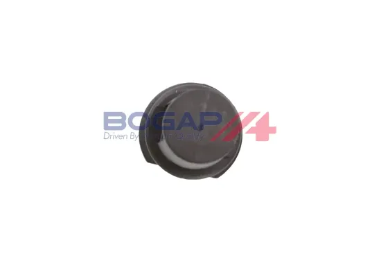 Sensor, Ansauglufttemperatur BOGAP R6129101 Bild Sensor, Ansauglufttemperatur BOGAP R6129101