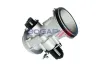 Drosselklappenstutzen BOGAP R6319102