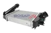 Ladeluftkühler BOGAP S4220100 Bild Ladeluftkühler BOGAP S4220100