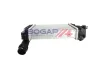 Ladeluftkühler BOGAP S4220100 Bild Ladeluftkühler BOGAP S4220100