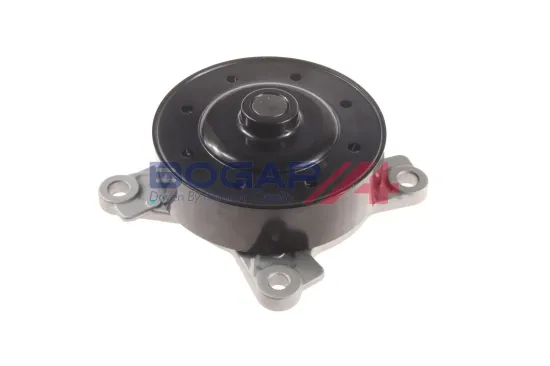 Wasserpumpe, Motorkühlung BOGAP T4234102 Bild Wasserpumpe, Motorkühlung BOGAP T4234102