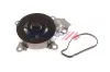Wasserpumpe, Motorkühlung BOGAP T4234106 Bild Wasserpumpe, Motorkühlung BOGAP T4234106
