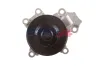Wasserpumpe, Motorkühlung BOGAP T4234106 Bild Wasserpumpe, Motorkühlung BOGAP T4234106
