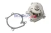Wasserpumpe, Motorkühlung BOGAP T4234110 Bild Wasserpumpe, Motorkühlung BOGAP T4234110
