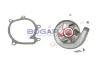 Wasserpumpe, Motorkühlung BOGAP T4234110 Bild Wasserpumpe, Motorkühlung BOGAP T4234110