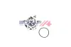 Wasserpumpe, Motorkühlung BOGAP T4234115 Bild Wasserpumpe, Motorkühlung BOGAP T4234115