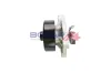Wasserpumpe, Motorkühlung BOGAP T4234115 Bild Wasserpumpe, Motorkühlung BOGAP T4234115