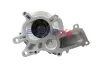 Wasserpumpe, Motorkühlung BOGAP T4234120 Bild Wasserpumpe, Motorkühlung BOGAP T4234120
