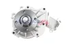 Wasserpumpe, Motorkühlung BOGAP T4234120 Bild Wasserpumpe, Motorkühlung BOGAP T4234120