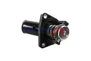 Thermostat, Kühlmittel BOGAP T4245104