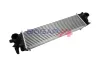 Ladeluftkühler BOGAP V4220102 Bild Ladeluftkühler BOGAP V4220102