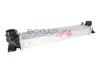 Ladeluftkühler BOGAP V4220106 Bild Ladeluftkühler BOGAP V4220106