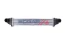 Ladeluftkühler BOGAP V4220112 Bild Ladeluftkühler BOGAP V4220112