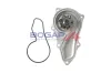 Wasserpumpe, Motorkühlung BOGAP V4234100 Bild Wasserpumpe, Motorkühlung BOGAP V4234100