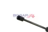 Gasfeder, Motorhaube beidseitig BOGAP V5134103 Bild Gasfeder, Motorhaube beidseitig BOGAP V5134103