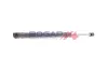 Gasfeder, Koffer-/Laderaum hinten BOGAP V5260104 Bild Gasfeder, Koffer-/Laderaum hinten BOGAP V5260104