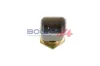Sensor, Kühlmitteltemperatur BOGAP W4126125 Bild Sensor, Kühlmitteltemperatur BOGAP W4126125