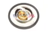 Thermostat, Kühlmittel BOGAP W4245109