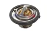 Thermostat, K&uuml;hlmittel BOGAP W4245113