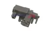 Druckwandler, Abgassteuerung 12 V BOGAP W6112107