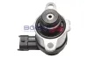 Kraftstoffdruckregler BOGAP W6317100 Bild Kraftstoffdruckregler BOGAP W6317100