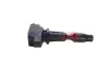 Zündspule 14 V 12 V BOGAP Y1511126 Bild Zündspule 14 V 12 V BOGAP Y1511126