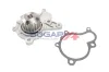 Wasserpumpe, Motorkühlung BOGAP Y4234104 Bild Wasserpumpe, Motorkühlung BOGAP Y4234104