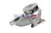 Wasserpumpe, Motorkühlung BOGAP Y4234108 Bild Wasserpumpe, Motorkühlung BOGAP Y4234108