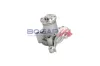 Wasserpumpe, Motorkühlung BOGAP Y4234110 Bild Wasserpumpe, Motorkühlung BOGAP Y4234110