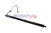 Gasfeder, Koffer-/Laderaum hinten rechts BOGAP Y5260106 Bild Gasfeder, Koffer-/Laderaum hinten rechts BOGAP Y5260106