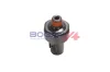 Öldruckschalter BOGAP Y6123100 Bild Öldruckschalter BOGAP Y6123100