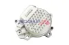 Wasserpumpe, Motorkühlung BOGAP Z4232100 Bild Wasserpumpe, Motorkühlung BOGAP Z4232100