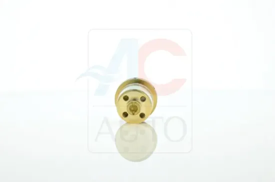 Regelventil, Kompressor ACAUTO AC-02SD13 Bild Regelventil, Kompressor ACAUTO AC-02SD13