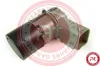 Sensor, Einparkhilfe 12 V beidseitig at autoteile germany at10002