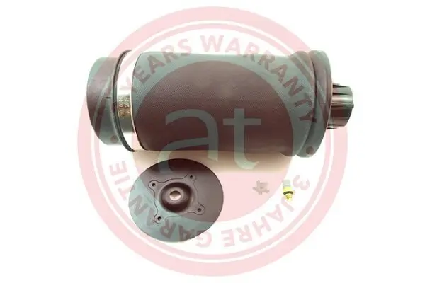 Luftfeder, Fahrwerk Hinterachse beidseitig at autoteile germany at10144