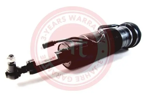 Luftfederbein 12 V vorne links at autoteile germany at10255