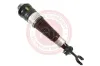 Luftfederbein 12 V Vorderachse links at autoteile germany at10499