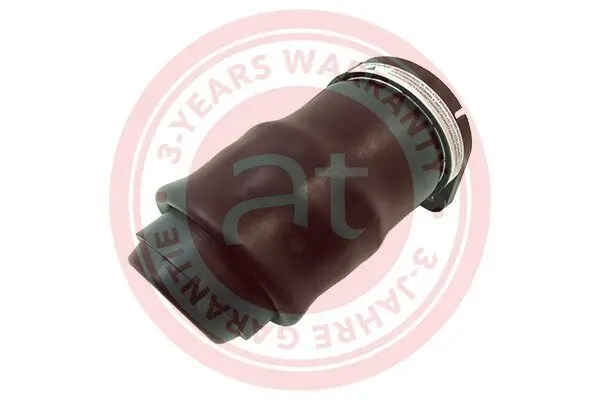 Luftfeder, Fahrwerk Hinterachse beidseitig at autoteile germany at10860