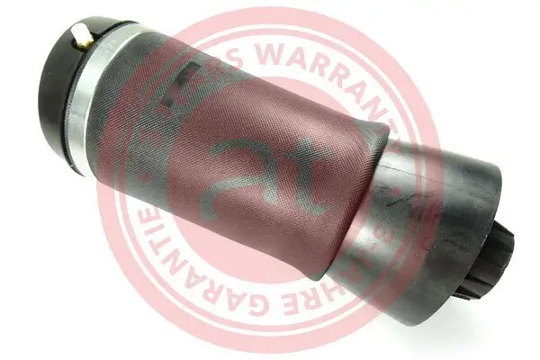 Luftfeder, Fahrwerk Hinterachse beidseitig at autoteile germany at10869